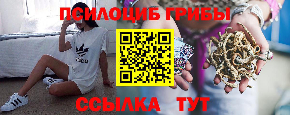 Ижевск  Галлюциногенные грибы прущие грибы  Вход с VPN  Галлюциногенные грибы Magic Shrooms 